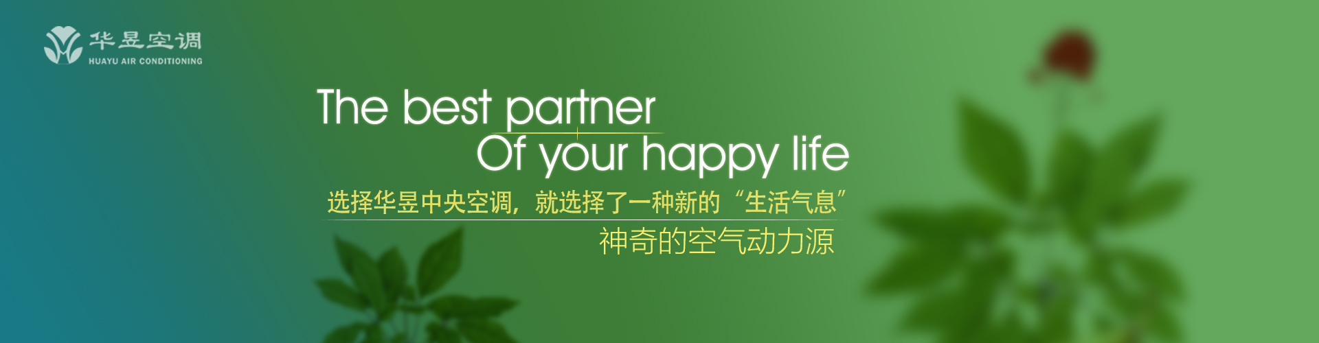 哄堂大笑网